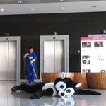 Panda, 2007