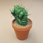 Cactus, 2016