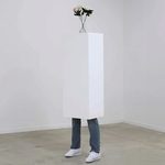 Plinth Series #2, 2019