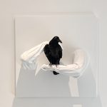 The Crow, 2015