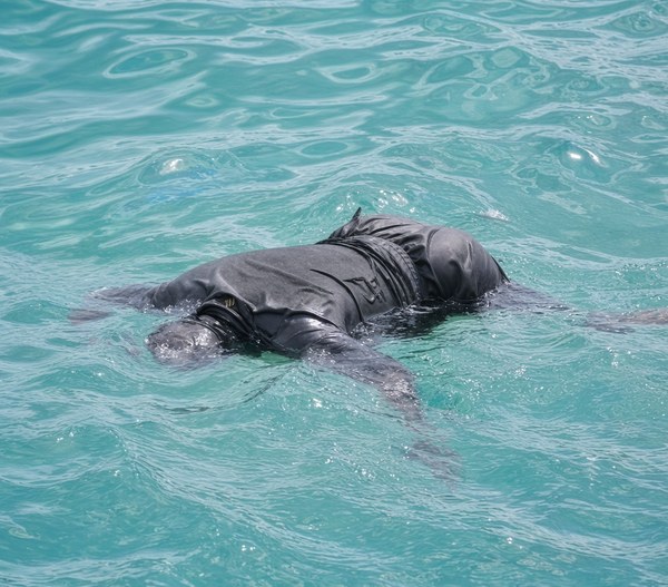 Reference photograph of a body in water
